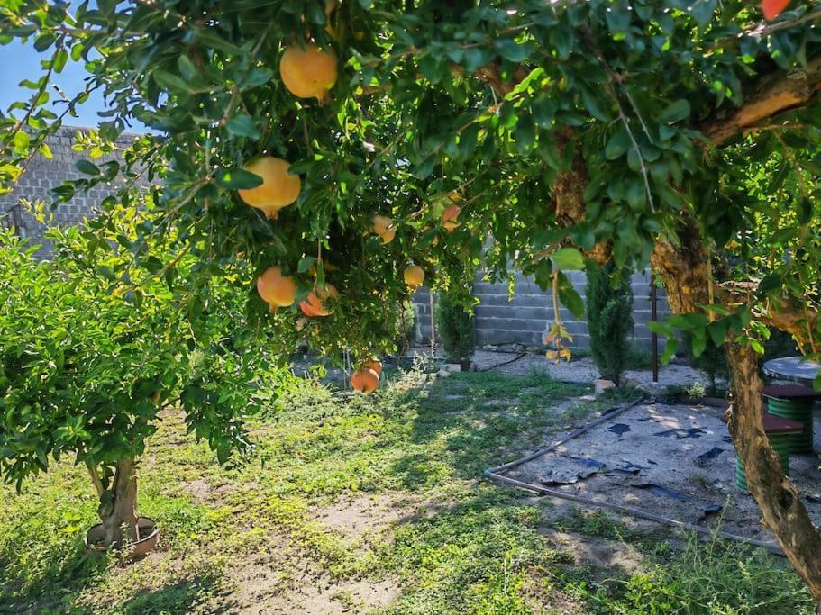 Teralba 1 Casa Rural Calzada de Oropesa エクステリア 写真