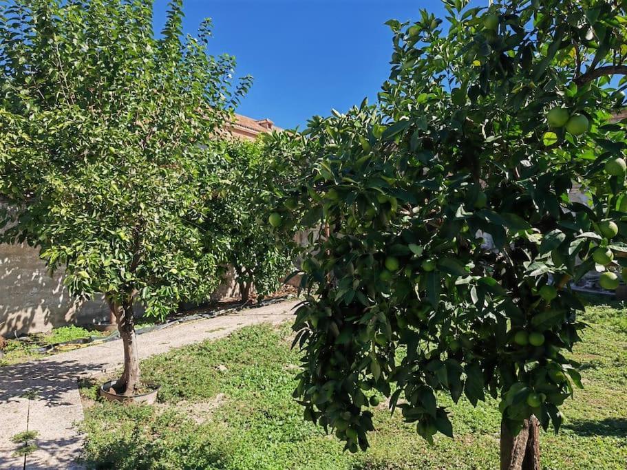 Teralba 1 Casa Rural Calzada de Oropesa エクステリア 写真