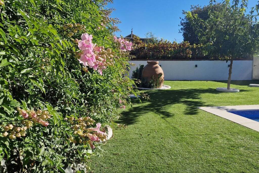 Teralba 1 Casa Rural Calzada de Oropesa エクステリア 写真